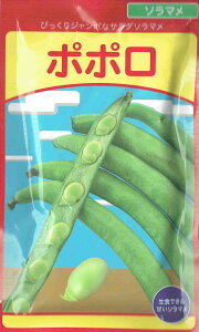 c@T_\}i܂߁jE|| 12yXΉz