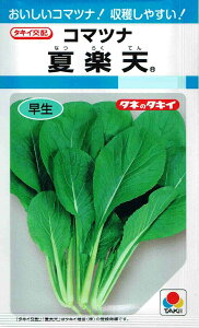 ^LCz@R}ci@ĊyV 2.7ml yXΉz