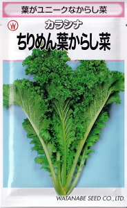 nӍ̎@JVi ߂t炵؁@7mlyXΉz