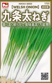 日光種苗　九条太ねぎのタネ　[内容量：3ml]【1723】