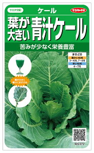 TJ^̃^l@t傫`P[ GXeEX̃^lme:1mln