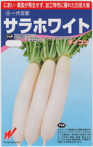 nӔ_@_CR TzCg̃^lme:3mlnyi햼FTzCg_o^ԍF26231z