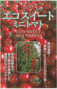 Oc ~jg}g GRXC[g̃^l[eʁF12]