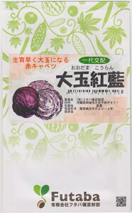 t^oc ԃLxc ʍg̃^l(܂)[eʁF1.2ml]