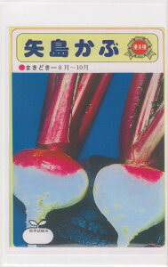 cc Ju Ԃ̃^l[eʁF5ml]