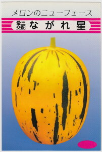 Oc  Ȃꐯ̃^l[eʁF9]