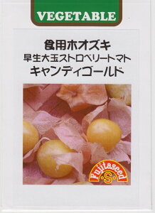 cq HpzIYL ʃXgx[g}g@LfB[S[h̃^l[eʁF30]