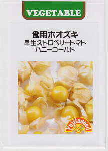 cq HpzIYL Xgx[g}g@nj[S[h̃^l[eʁF30]