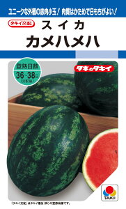 ^LCc XCJ Jnñ^l[eʁF9]