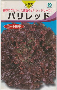 ێ [t^X pbh̃^l[eʁFR[gq40]