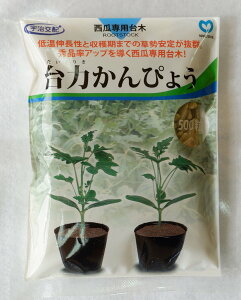 �ێ� �X�C�J��p��� ��͂���҂傤�̃^�l(�����肫)[���e�ʁF��500��]