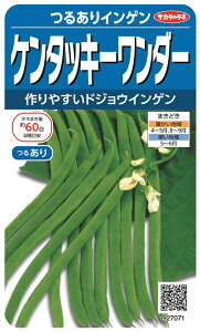 TJ^̃^l 邠CQ P^bL[_[̃^l[eʁF30ml]