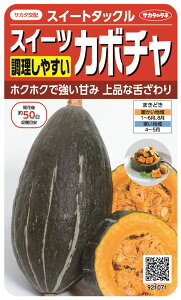 TJ^̃^l XC[cJ{` XC[g^bÑ^l[eʁF6]