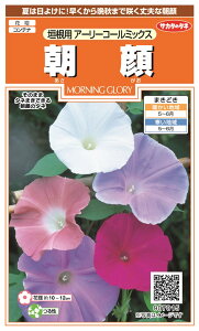 TJ^̃^l  _pA[[R[~bNX̃^l[eʁF1ml]