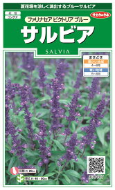 サカタのタネ サルビア ファリナセア　ビクトリアブルーのタネ[内容量：0.1ml]