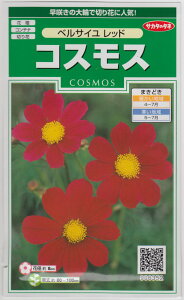 TJ^̃^l RXX xTCbh̃^l[eʁF2ml]