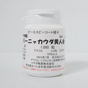 gL^c jW o[jJE_̃^l[eʁFs[GXs[R[gq1,000]