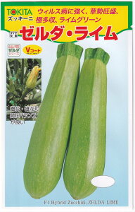 gL^c YbL[j [_EC̃^l[eʁF10]