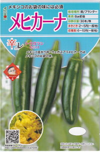 gL^c gEKV qJ[ĩ^l[eʁF20]