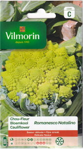 VilmorinitXj Jt[ Romanesco Natalinõ^l[eʁF5g]i}lXR@i^[mj