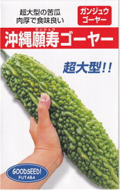 フタバ種苗 ゴーヤー 沖縄願寿ゴーヤーのタネ [内容量：10ml]