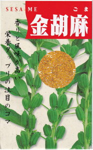 ̎ Ӗi܁ES}j̃^l[eʁF10ml]