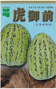 cc g}N ՌÕ^l(Ƃ炲)[eʁF40]