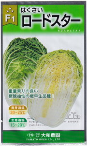 a_ nNTC [hX^[̃^l[eʁF1ml]