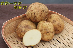 yWKCE킢zuIz[cN`bvv̎킶Ⴊ@500gytWKCp12{`2{zyi햼FIz[cN`bv_o^ԍF14895_COo֎~z