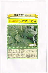 V[h XN}CLAt@̃^l[eʁF1ml]