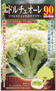 юc \tgXeBbNJt[ h`FI[90̃^l[eʁF0.5ml]