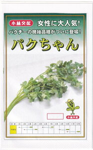 юc ӒpN`[ pÑ^l[eʁF5ml]