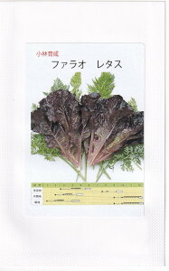 юc [t^X t@Ĩ^l[eʁF0.7ml]