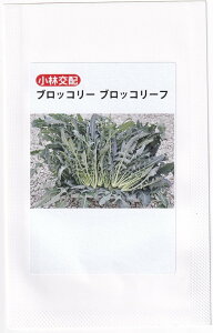 юc [tubR[ ubR[t̃^l[eʁF45]