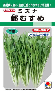 ^LCc ~Yi sނ߂̃^l[eʁF4ml]GF