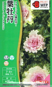 ^LCc tO v`iP[@NX^oj̃^l[eʁF20]