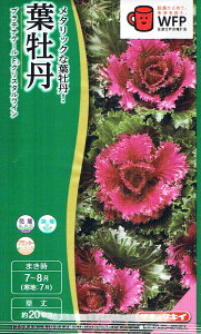 ^LCc tO v`iP[@NX^C̃^l[eʁF20]