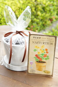 ハーブ栽培セット「ナスタチューム」