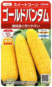 TJ^̃^l gERV S[ho^̃^l[eʁF20ml]