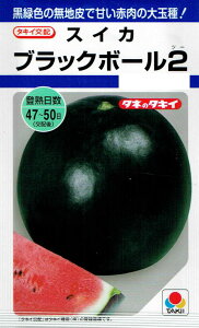 ^LCc XCJ ubN{[2̃^l[eʁF9]DF