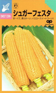 �����̎�� �g�E�����R�V �V���K�[�t�F�X�^�̃^�l[���e�ʁF50��]