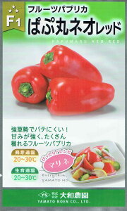 a_ t[cpvJ ςՊۃlI@bh̃^l[eʁF6]