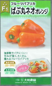 a_ t[cpvJ ςՊۃlI@IW̃^l[eʁF6]