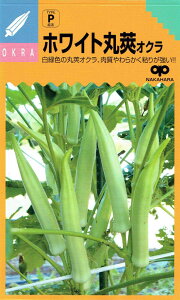 ̎ IN zCg䰂̃^l(ق킢Ƃ܂邴)[eʁF50]