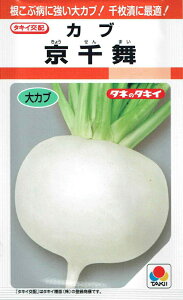 ^LCc Ju 畑̃^l(傤܂)[eʁF2.2ml]RF