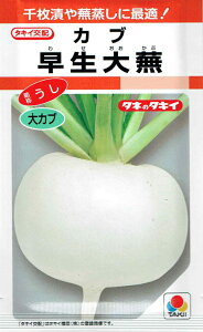 ^LCc Ju 啓̃^l(킹)[eʁF3.5ml]RF