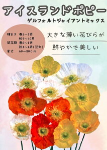 c ACXh|s[ QtHgWCAg@~bNX̃^l@[eʁF10ml]