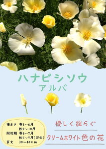 cuԕH Aoṽ^l[eʁF0.5ml](͂ȂтAnirV\EAGXR`AAJtHjA|s[)