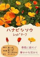 日光種苗「花菱草 レッドチーフ」のタネ[内容量：0.5ml](はなびしそう、ハナビシソウ、エスコルチア、カ…