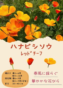 cuԕH bh`[tṽ^l@[eʁF100ml](͂ȂтAnirV\EAGXR`AAJtHjA|s[)